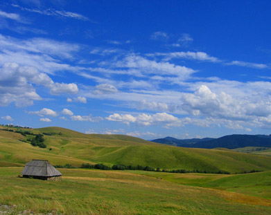 planina Zlatibor 